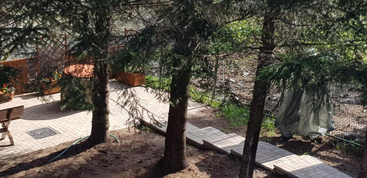 Sezatoarea Lupilor Villa Lepsa Luaran gambar