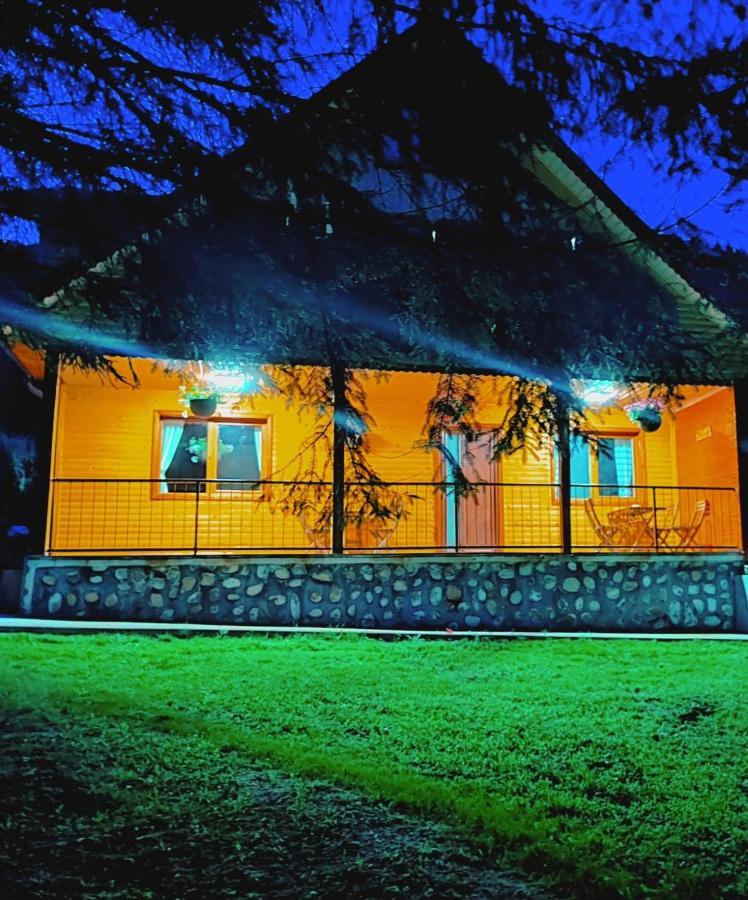 Sezatoarea Lupilor Villa Lepsa Luaran gambar